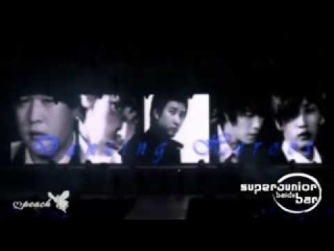Profilový obrázek - 091018 Super Junior Super Show 2 [VCR + Dance Off]