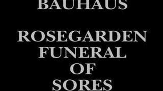 Bauhaus ~ Rosegarden Funeral of Sores 