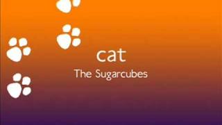 Cat - The Sugarcubes
