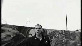 Los fastidios
