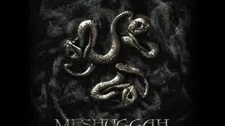 Meshuggah - Autonomy Lost / Disenchantment