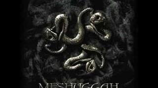 Meshuggah - Mind's Mirrors / In Death Is Death