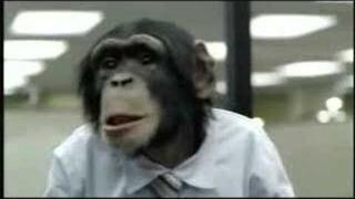 Monkey Business
