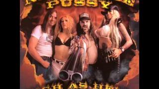 Nashville Pussy - High As Hell