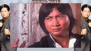 The Ultimate Sammo Hung Tribute