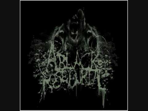 Profilový obrázek - A Black Rose Burial - The Epidemic Of Unexpected Relapses