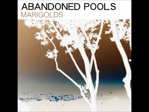 Profilový obrázek - Abandoned Pools - Marigolds