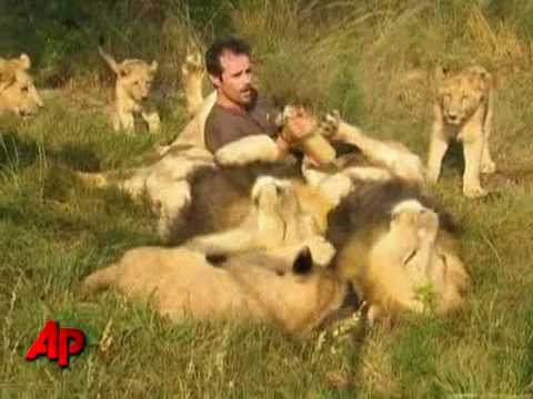 Profilový obrázek - African Lions Accept Man As One of Their Own