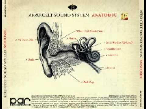 Profilový obrázek - Afro Celt Sound System - Anatomic Sené (Working The Land)