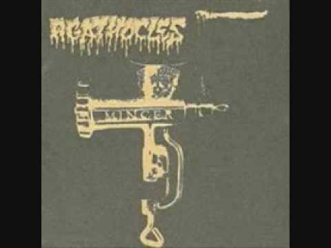 Profilový obrázek - Agathocles- Kill Your Idols