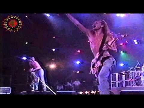 Profilový obrázek - Alice In Chains - Angry Chair / Man In The Box [Live At The Hollywood Rock 1993][Pro-Shot]