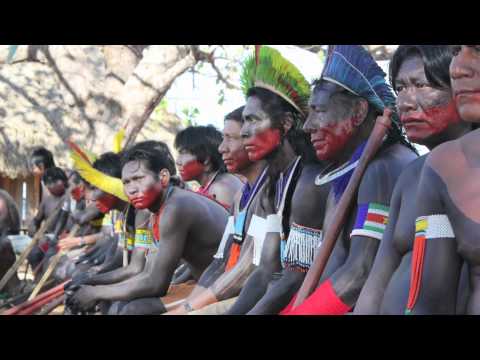 Profilový obrázek - Amazon Watch: Standing with Indigenous Peoples, Defending the Rainforest