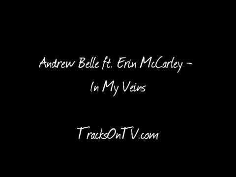 Profilový obrázek - Andrew Belle ft. Erin McCarley - In My Veins