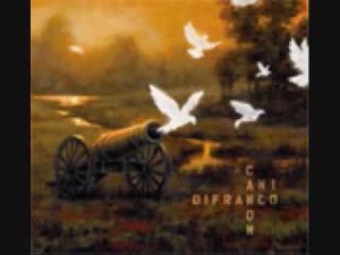 Profilový obrázek - Ani Difranco-32 flavors