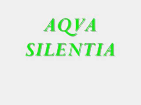 Profilový obrázek - Aqva Silentia - PLÁČ