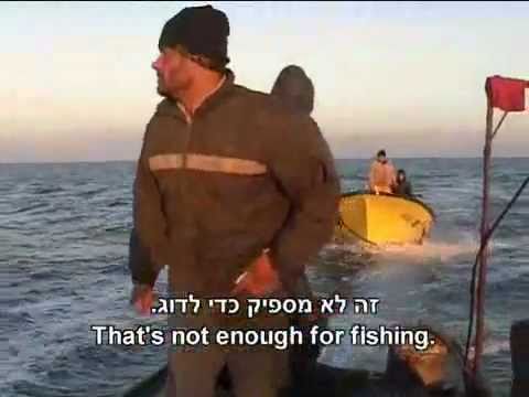 Profilový obrázek - Army imposes harsh restrictions on fishing in Gaza Strip