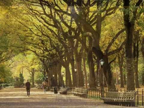 Profilový obrázek - Autumn In New York - Sweet Jazz Trio