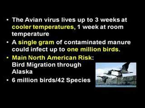 Profilový obrázek - Avian Flu: H5N1 Mutations & #1 Global Health Threat-Pt.2