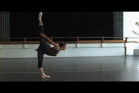 Profilový obrázek - Ballet: Aria Stops By...