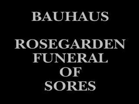 Profilový obrázek - Bauhaus ~ Rosegarden Funeral of Sores