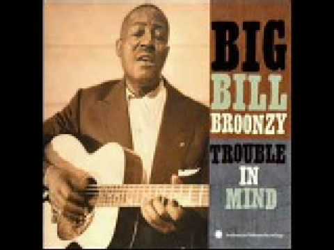 Profilový obrázek - Big Bill Broonzy: Black, Brown and White