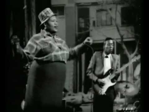 Profilový obrázek - ‎Big Mama Thornton - Hound Dog - Down Home Shakedown - Live 1965