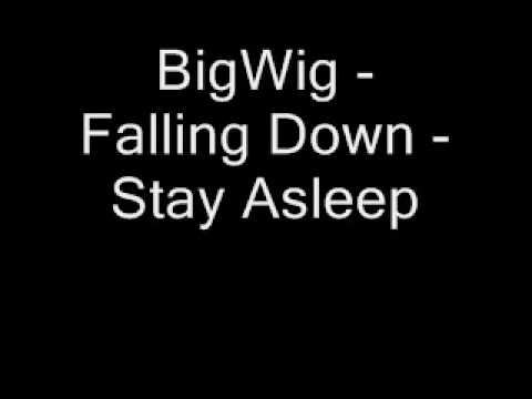Profilový obrázek - BigWig Falling Down
