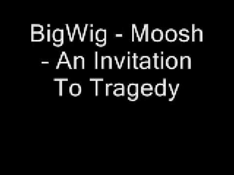 Profilový obrázek - BigWig - Moosh
