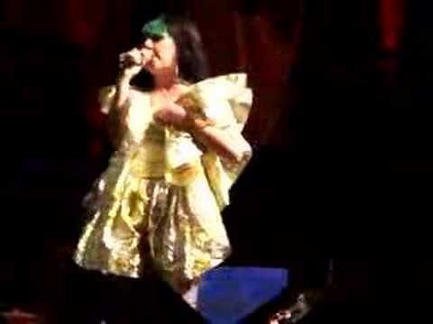 Profilový obrázek - Björk  - Unravel LIVE @ Madison Square Garden, 9/24/07