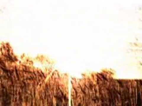 Profilový obrázek - Black Swan - Thom Yorke