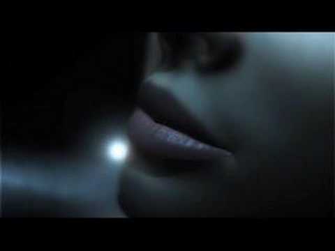 Profilový obrázek - Blank & Jones - Perfect Silence (USA Video)