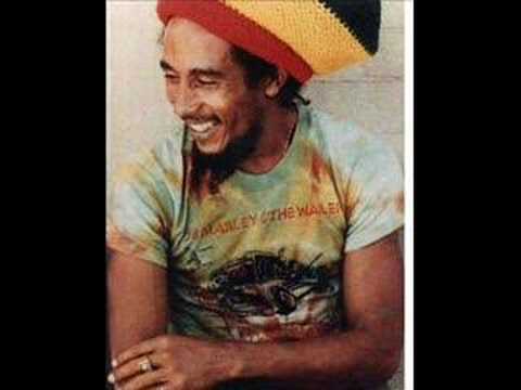 Profilový obrázek - Bob Marley Babylon Feel Dis One Demo!