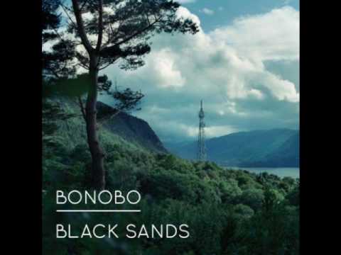 Profilový obrázek - Bonobo - Animals