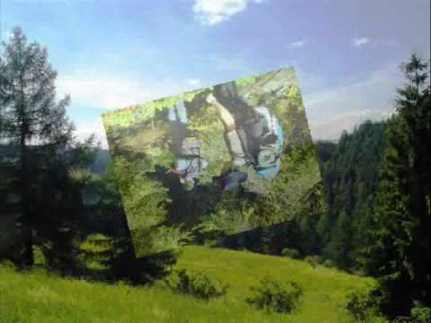 Profilový obrázek - Brontosauři - Vlajka vzuru leti (TO Zelené údolie)