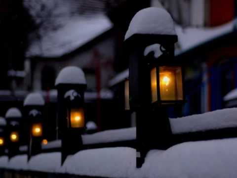 Profilový obrázek - Bruce Cockburn - The Coldest Night Of The Year (Toronto)
