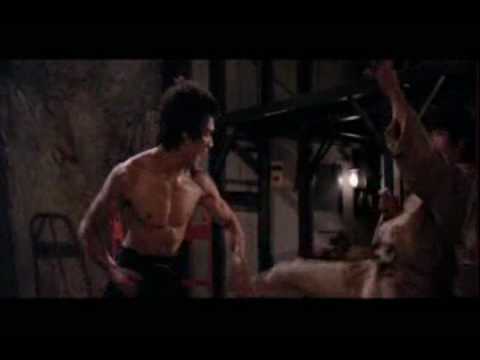 Profilový obrázek - Bruce Lee in 4 mins