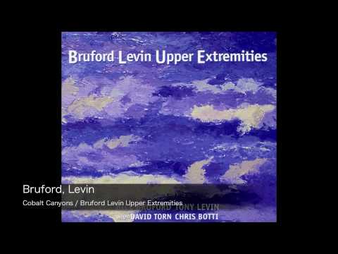 Profilový obrázek - Bruford Levin / Cobalt Canyons : Bruford Levin Upper Extremities
