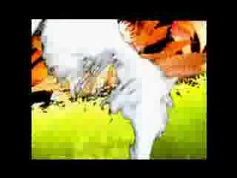 Profilový obrázek - Bush Ganja Video by Alpha And Omega featuring Gregory Isaacs