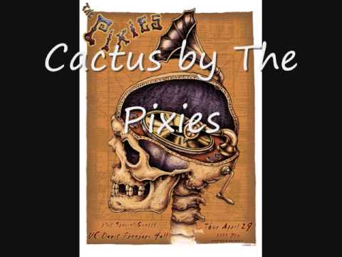 Profilový obrázek - Cactus - Pixies