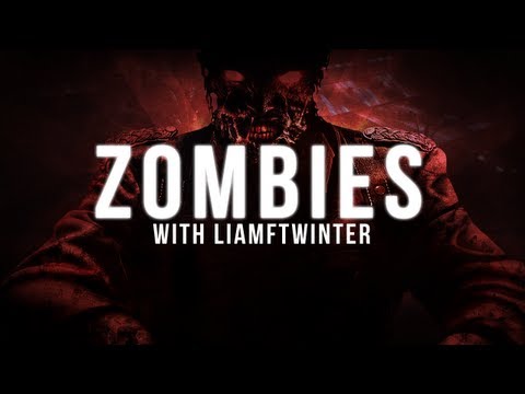 Profilový obrázek - Call Of Duty: Zombies - Ascension power node (Mystery man) easter egg. Nodes 4-5.