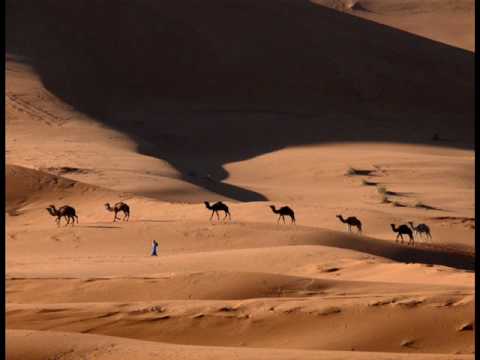 Profilový obrázek - Camel - Sahara