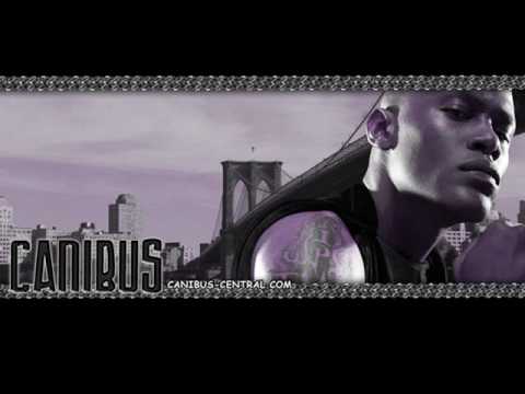 Profilový obrázek - Canibus - Freestyle- ft. Jeymes Samuel on Westwood's Show