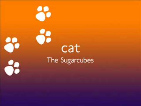 Profilový obrázek - Cat - The Sugarcubes