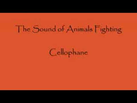 Profilový obrázek - Cellophane by The Sound of Animals Fighting