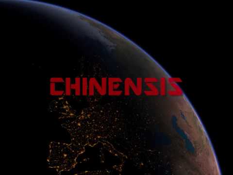 Profilový obrázek - Chinensis- Satellite (Dark ambient drum & bass)