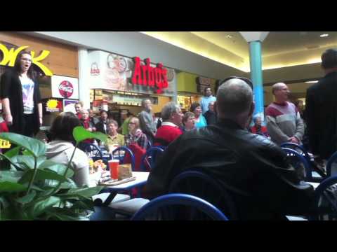 Profilový obrázek - Christmas Food Court Flash Mob, Hallelujah Chorus - Must See!