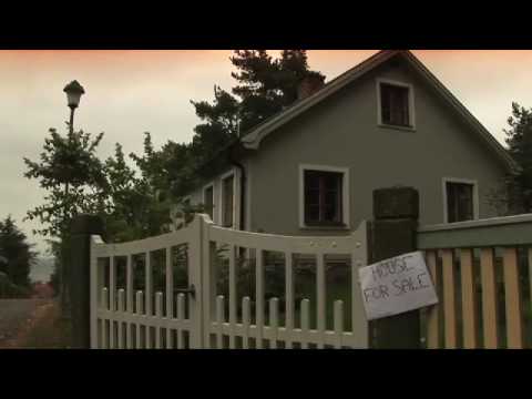 Profilový obrázek - Cinematic Orchestra "To Build A Home" (Duffyfilm Version)
