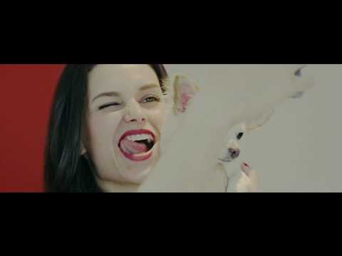 Profilový obrázek - Čivava