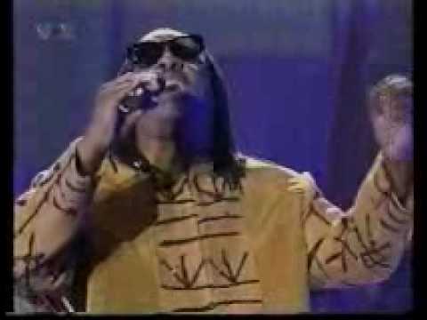 Profilový obrázek - Coolio Feat LV & Stevie Wonder - Gangstas Paradise (Live @ 1995 Billboard Awards)