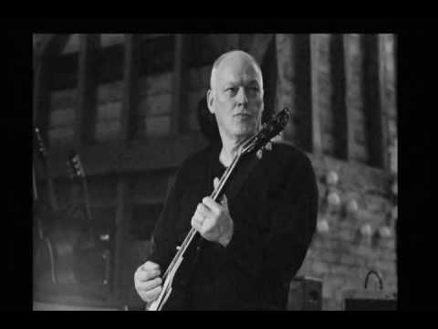 Profilový obrázek - David Gilmour - Island Jam 2007